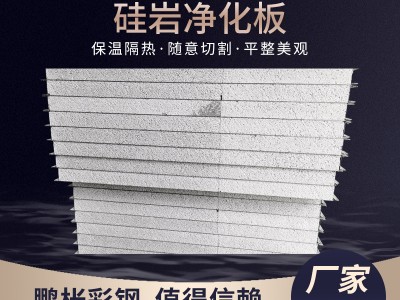供應硅巖凈化板巖棉彩鋼板保溫隔熱板材不銹鋼硅巖夾芯板硅巖板