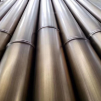 供應四川不銹鋼201仿竹節管 動物園熊貓公園仿竹子景觀燈飾用管