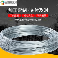 廠家現貨光亮冷拔絲鍍鋅絲 大棚建設葡萄搭建Q195鍍鋅絲 8號鋅絲