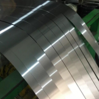 304不銹鋼帶 彈簧片切割打孔 定制加工 0.7 0.8 0.9mm