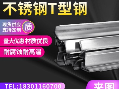 304不銹鋼T型鋼 擠壓冷拔一次成型非標(biāo)凸形扁條 不銹鋼異型鋼定制