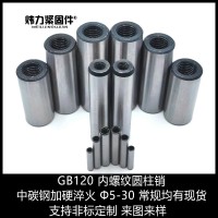 中碳鋼GB120內螺紋圓柱銷 45碳鋼淬火帶孔定位銷釘 304不銹鋼銷子