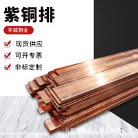 T2紅銅排廠家 現貨供應 鍍錫紫銅排TMY接地母線排 黃紫紅銅板帶棒
