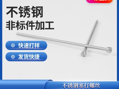 不銹鋼塞打螺絲 不銹鋼長螺絲加工不銹鋼圓螺母非標定 制塞打螺絲