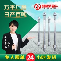 廠家供應雙頭螺栓 熱鍍鋅化工雙頭螺絲 10.9級高強雙頭螺桿