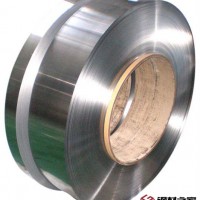 汽封片材料X20CrMo13KG, X22CrMoV12-1, X20Cr13不銹鋼帶
