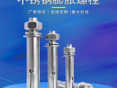 304不銹鋼膨脹螺絲M6金屬膨脹管小頭帶孔膨脹 外膨脹螺栓拉爆螺絲