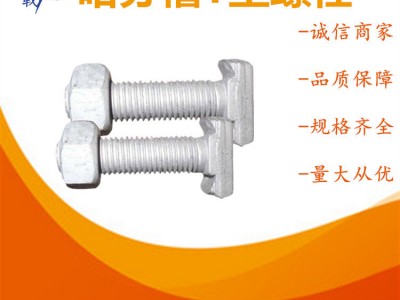 熱鍍鋅T形螺栓 道岔專用T型墊板螺栓 哈芬槽T型螺絲幕墻預埋件