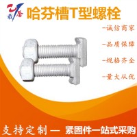熱鍍鋅T形螺栓 道岔專用T型墊板螺栓 哈芬槽T型螺絲幕墻預埋件
