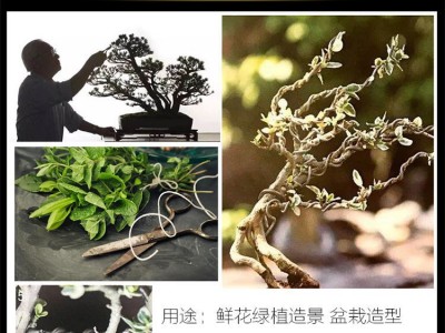 軟鋁絲盆景捆綁鋁絲鋁線DIY手工盆景公園綠植造型用園藝捆綁鋁鋁線