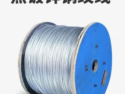 供應12號熱鍍鋅鐵絲果園拉線鋼絲截斷捆綁鐵絲桶提梁衣架改拔絲