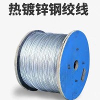 供應(yīng)12號(hào)熱鍍鋅鐵絲果園拉線鋼絲截?cái)嗬夎F絲桶提梁衣架改拔絲