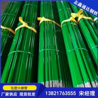 包塑橢圓管養(yǎng)殖大棚 鍍鋅大棚管 可上棉被暖棚 天津溫室大棚廠