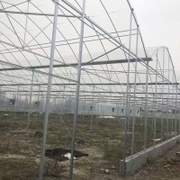 薄膜連棟溫室 種植溫室大棚 農業薄膜大棚 廠家供應