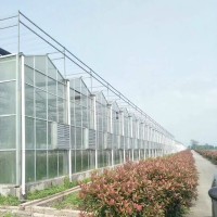 玻璃溫室 茶葉溫室大棚瓜果養殖溫室大棚 廠家供應