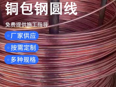 銅包鋼圓線 鍍銅圓線 銅覆鋼圓線 銅包鋼圓鋼大現(xiàn)貨銷售