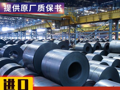 德國(guó)進(jìn)口1.4563現(xiàn)貨鎳合金Sanicro28原廠質(zhì)保00cr27ni31Mo3Cu悅廷