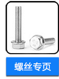 不銹鋼法蘭螺栓