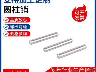 304不銹鋼實心圓柱銷軸定位銷固定銷定位銷釘不銹鋼實心銷