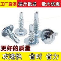 大扁頭華司鉆尾螺絲國標(biāo)十字大圓頭自攻自鉆不銹鋼燕尾螺釘M 4.2