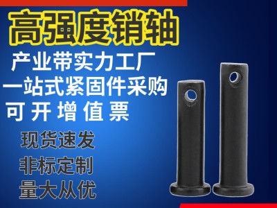 廠家定制加工高強度銷軸65錳鋼不銹鋼加長圓頭平面帶孔鍍鋅銷軸
