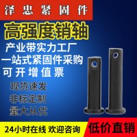 廠家定制加工高強度銷軸65錳鋼不銹鋼加長圓頭平面帶孔鍍鋅銷軸