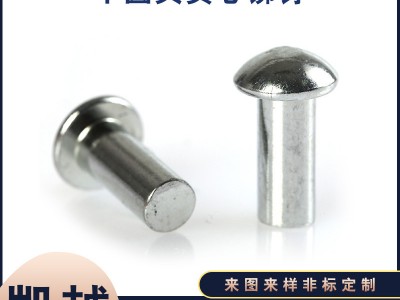 廠家批發圓頭鉚釘實心鐵鉚釘半圓頭實心銅鉚釘 鋁鉚釘 不銹鋼釘